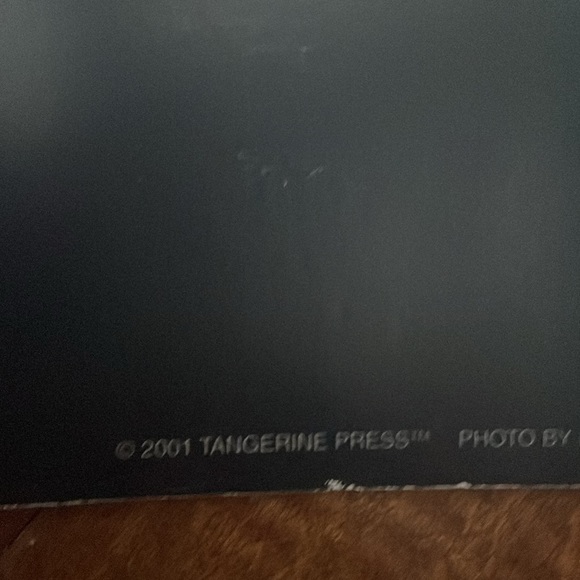 PANOZ ROADSTER RON KIMBALL POSTER - Picture 4 of 8